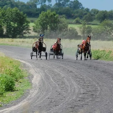 Apartamento Ostenfelder Stuuv *