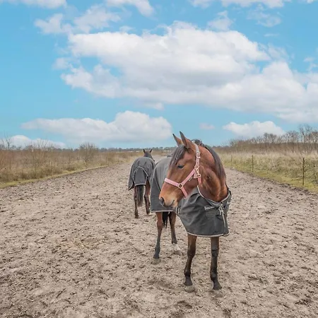Apartamento Ostenfelder Stuuv